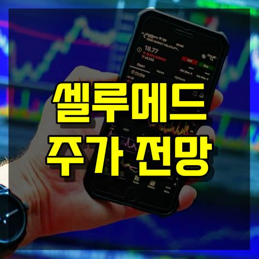 셀루메드 주가 전망