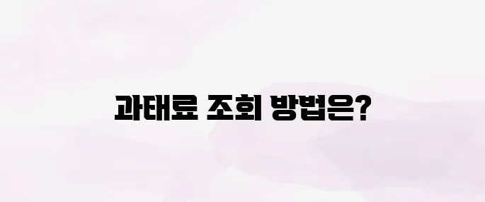 주정차 위반 과태료 조회 (과태료 납부)