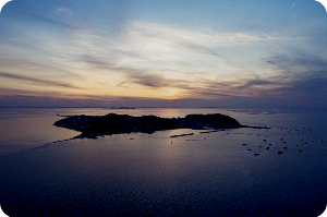 제부도 통행시간표