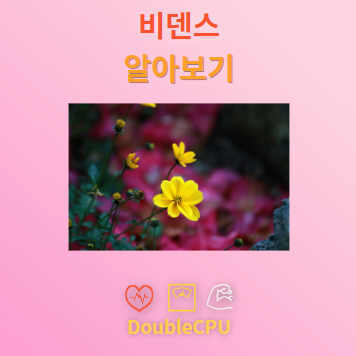 비덴스 꽃말 및 탐구