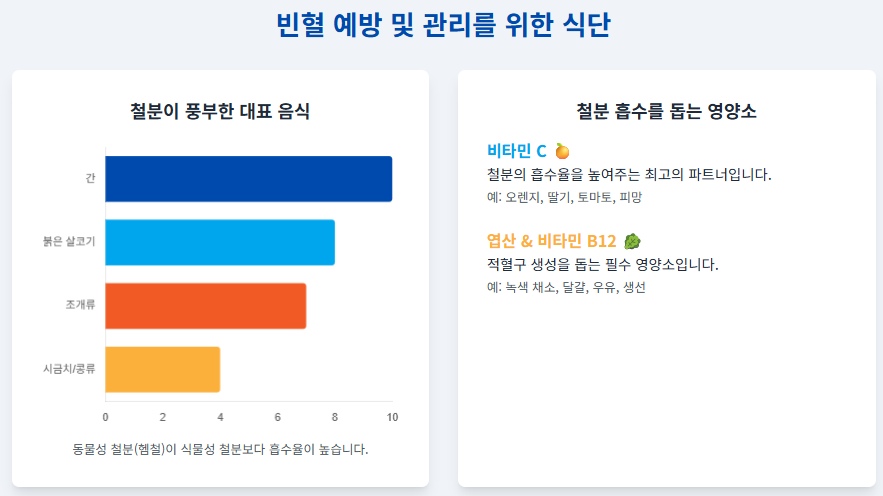 잦은 피로와 어지러움, 혹시 빈혈 아닐까? 빈혈 원인 증상 철분 보충 음식 추천!