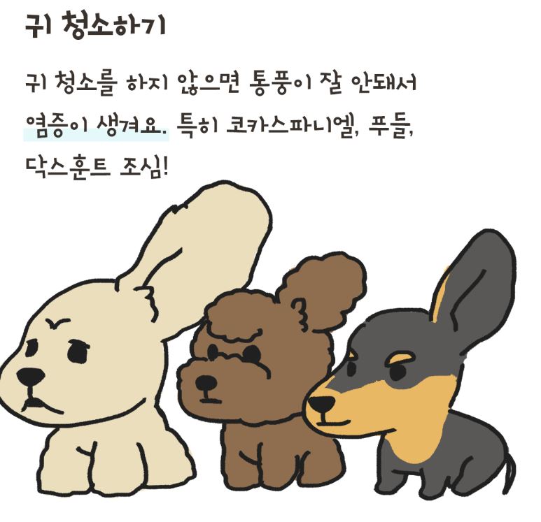 반려동물 냄새 제거 3단계