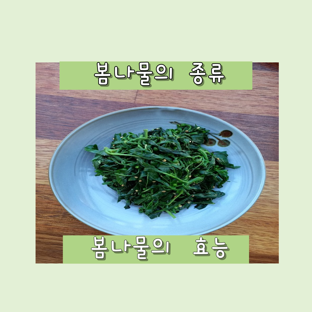 봄나물 종류&#44;효능
