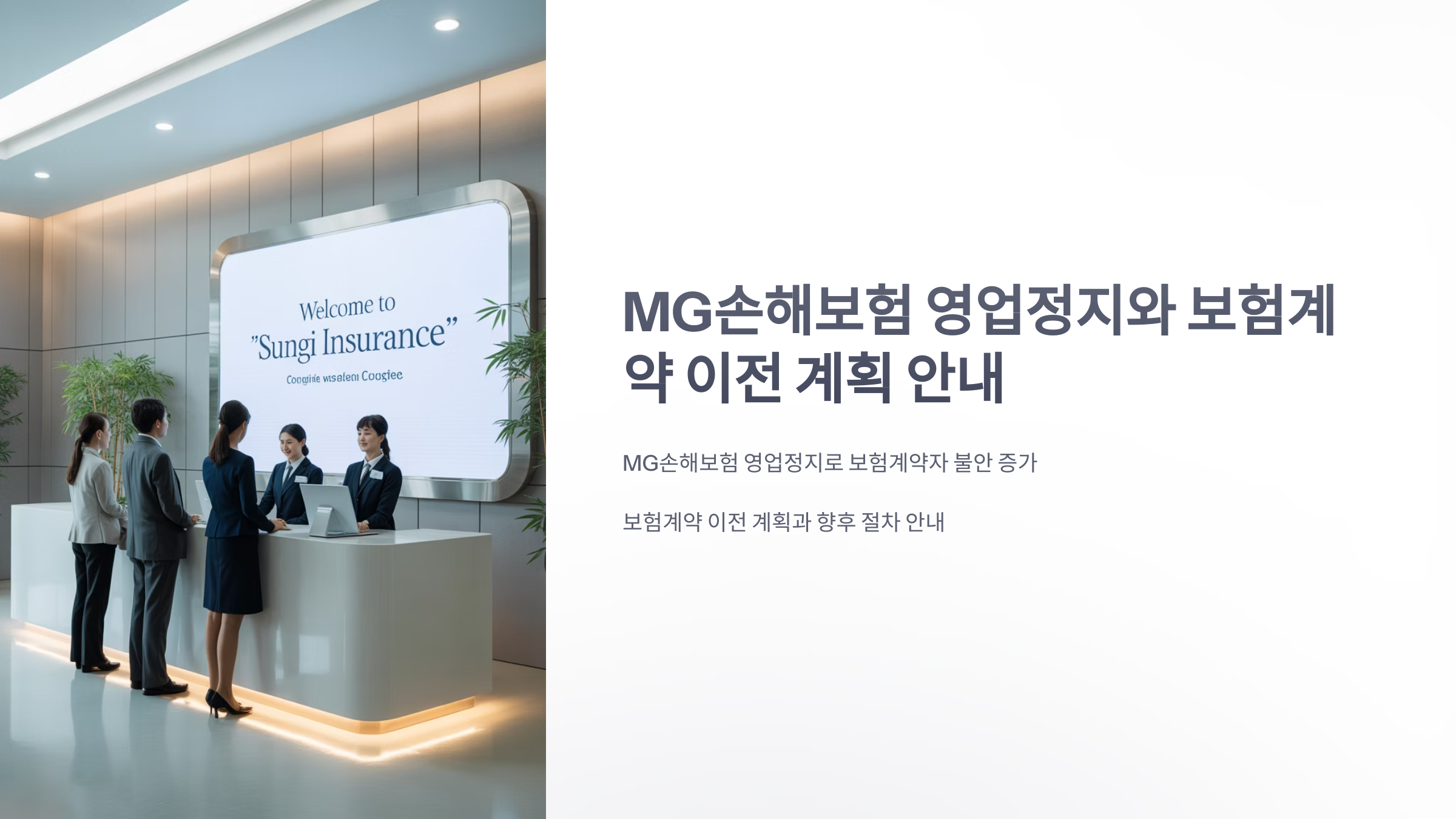 참조-mg-손보-1