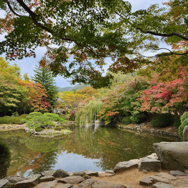 반야연지