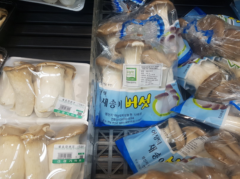 많이 먹는 버섯 종류2