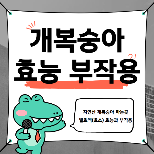 자연산 개복숭아 파는곳&발효액(효소) 효능과 부작용