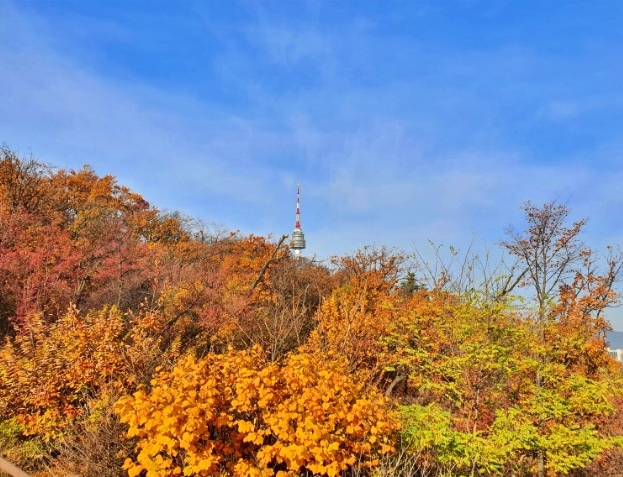 서울-단풍-명소