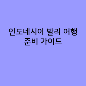 발리 여행 준비 가이드