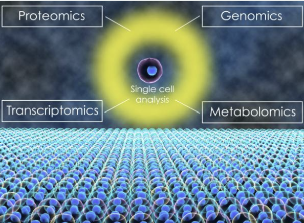 Metabolomics 데이터에서 &lsquo;생물학적 변이&rsquo;와 &lsquo;분석 변이&rsquo;를 구분하는 방법