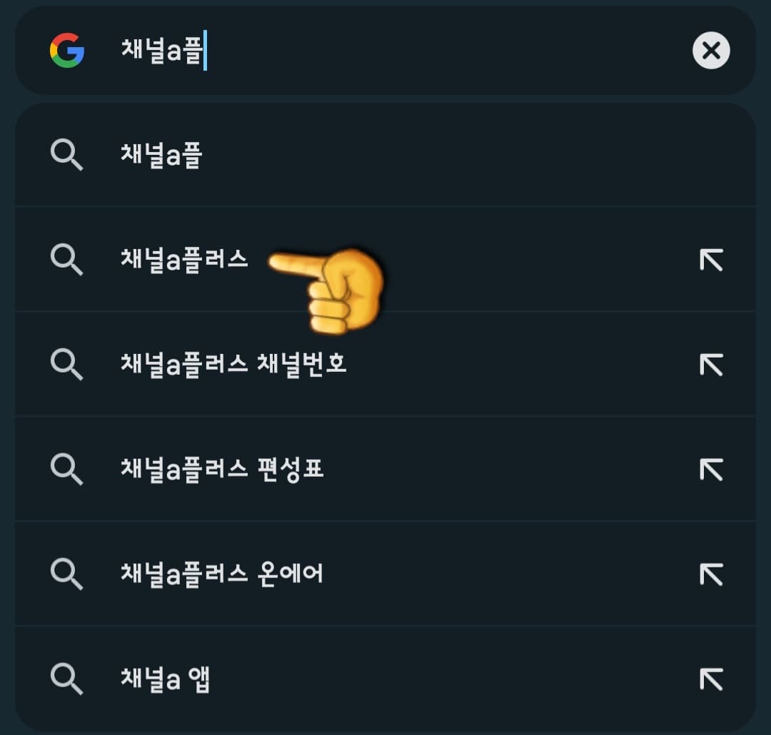 채널A-플러스-편성표-및-채널번호-쉽게-확인하는-방법-안내-다음,-네이버,-구글에서-채널A-플러스-입력하고-검색하기