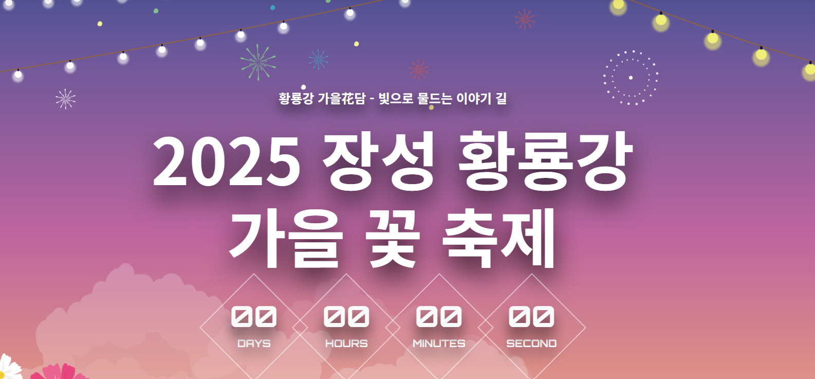 장성황룡강 가을 꽃 축제