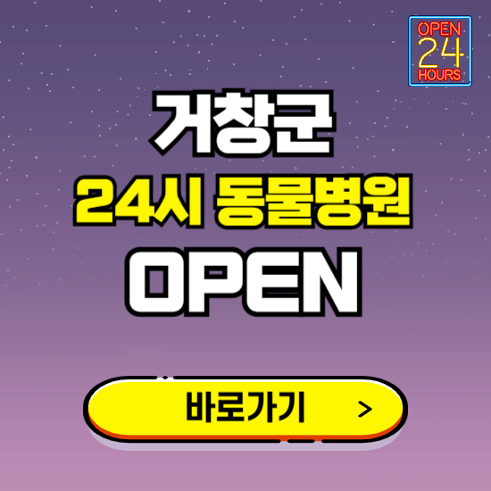 거창군 24시 동물병원 진료하는 곳 ❘ 설날 휴일 야간 심야 문여는곳 찾기 ❘ 응급진료