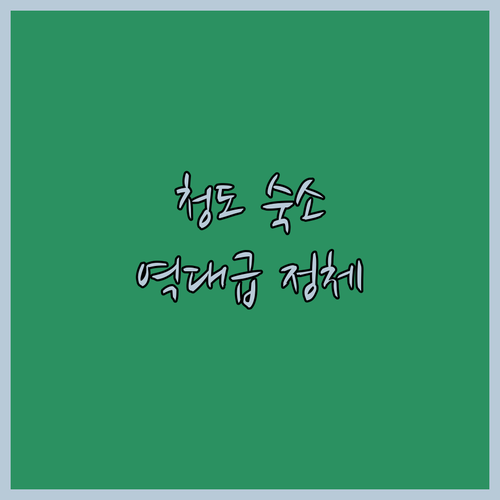 경북 청도 가볼만한곳 근처 깨끗한 숙..