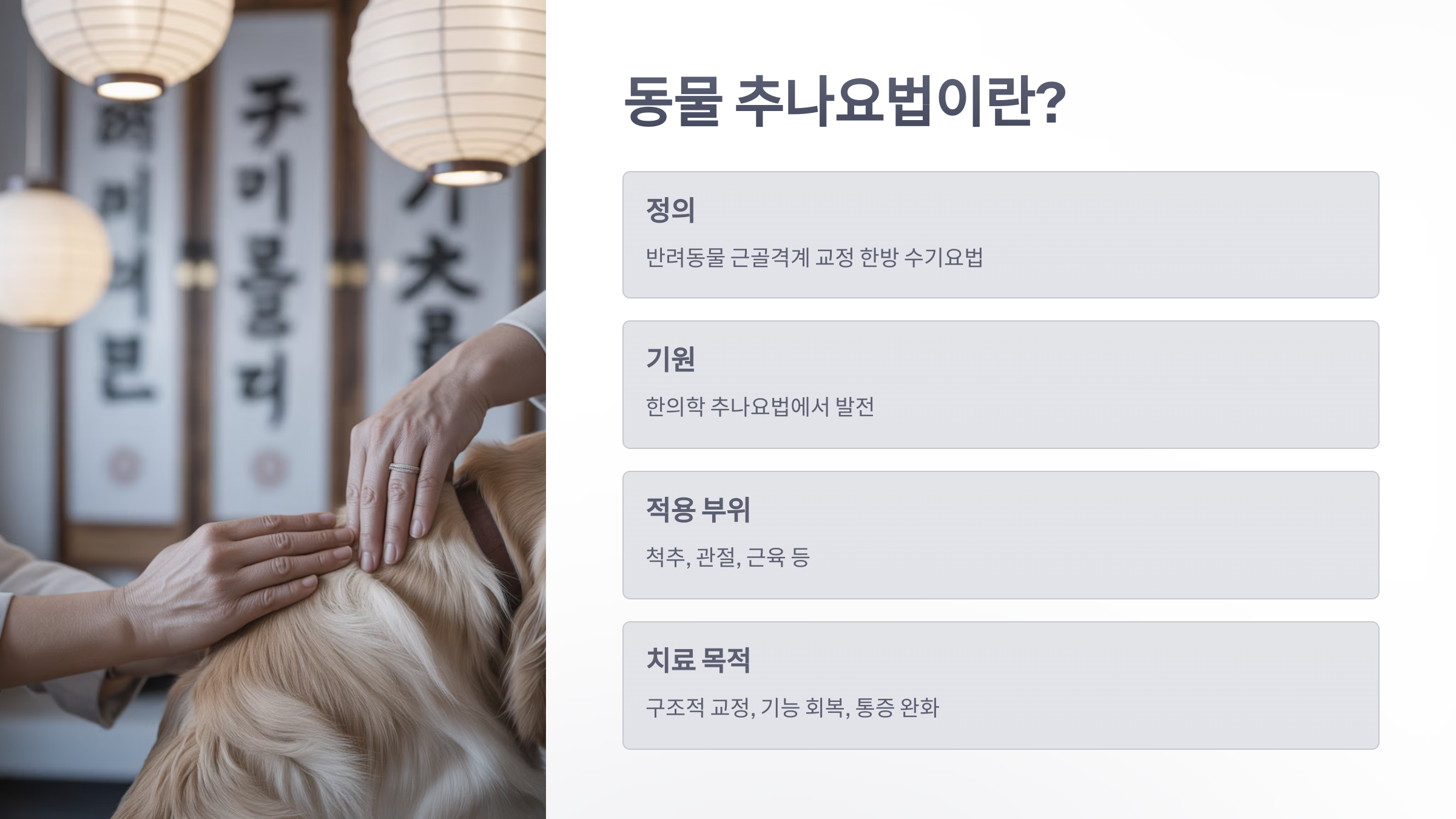 참조-동물-추나요법-2