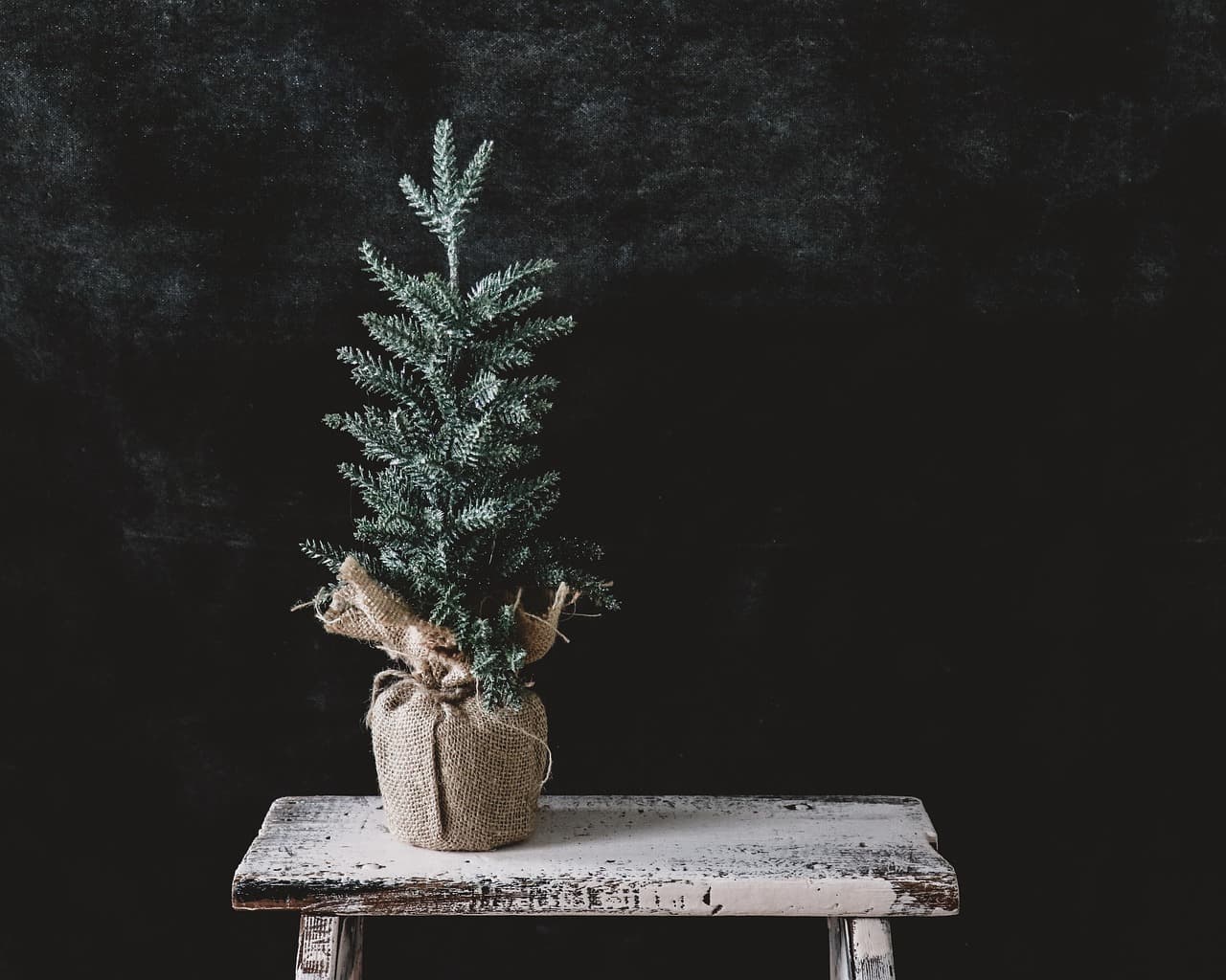 한국 전통 자수를 패션 아이템으로 재해석하다.
