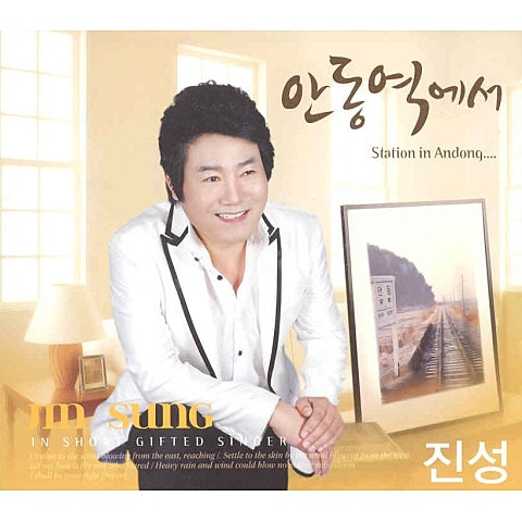 진성 잊을건 잊어야지 앨범 사진
