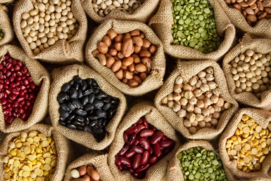 곡식,콩/출처:어도비스톡