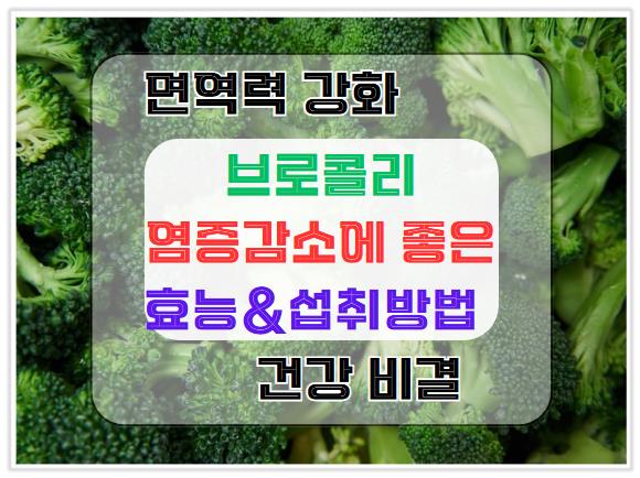 면역력 강화와 염증 감소에 좋은 브로콜리, 효능과 섭취 방법은?