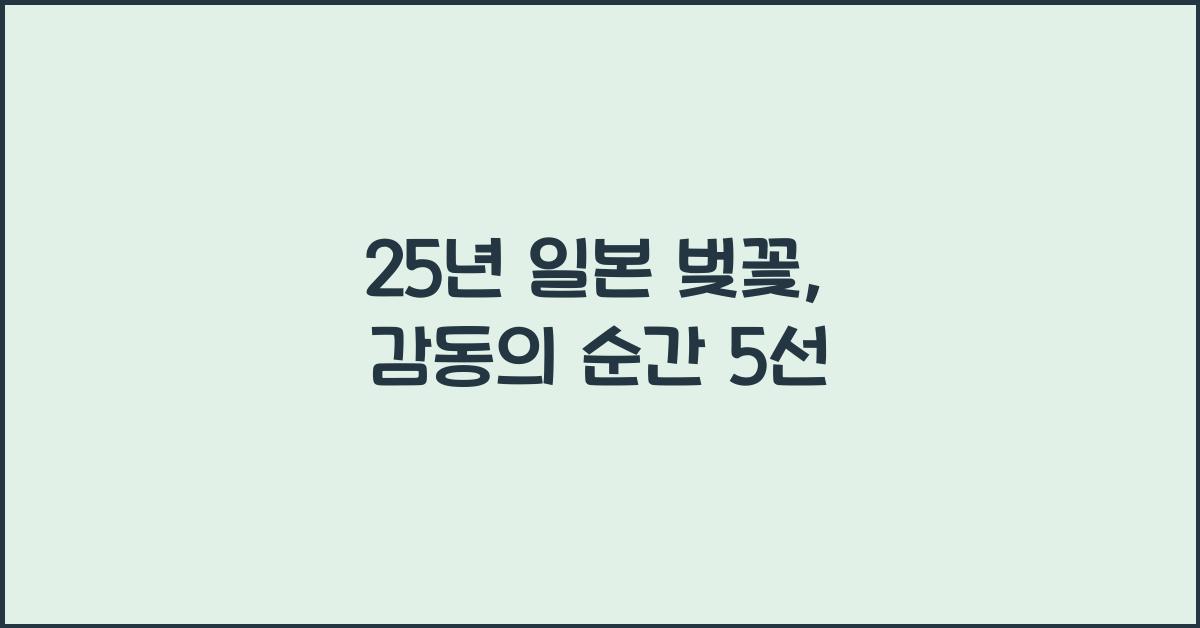 25년 일본 벚꽃