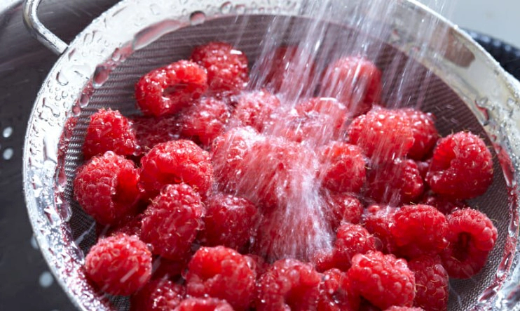 산딸기 세척 곰팡이 제거 방법