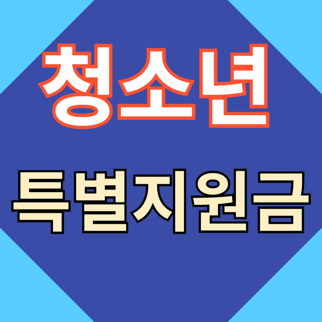 청소년 특별지원금