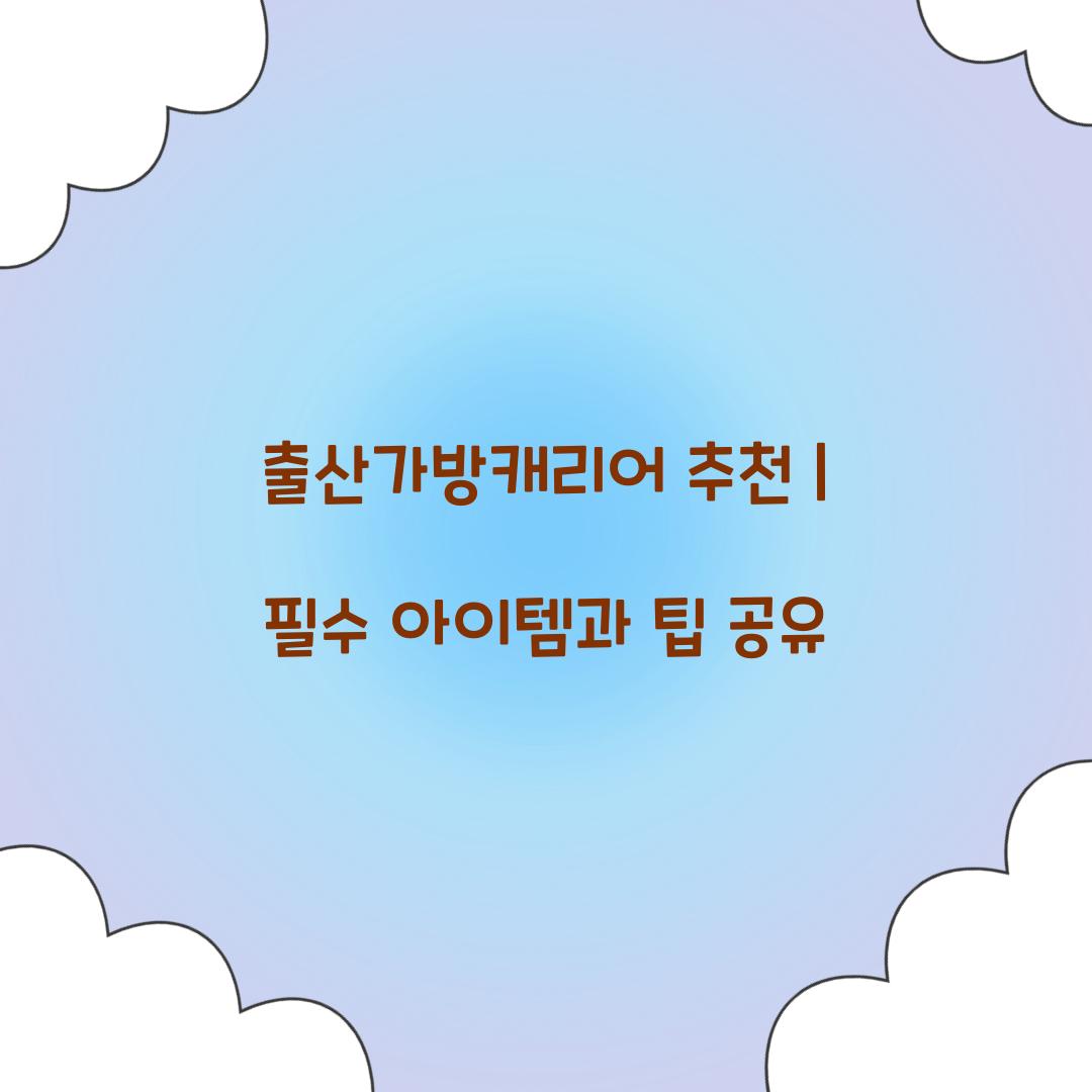 출산가방캐리어 추천