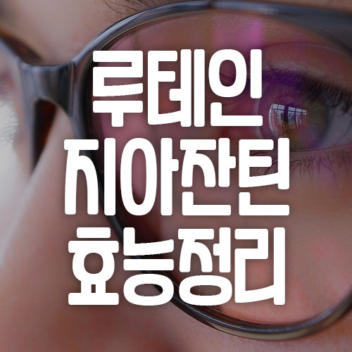 루테인 지아진틴 효능 및 추천 제품