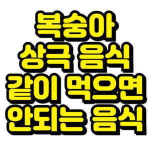 복숭아와-상극인-음식-같이-먹으면-안되는-음식