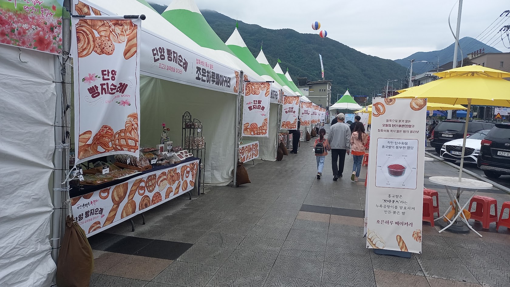 단양 소백산 철쭉제
