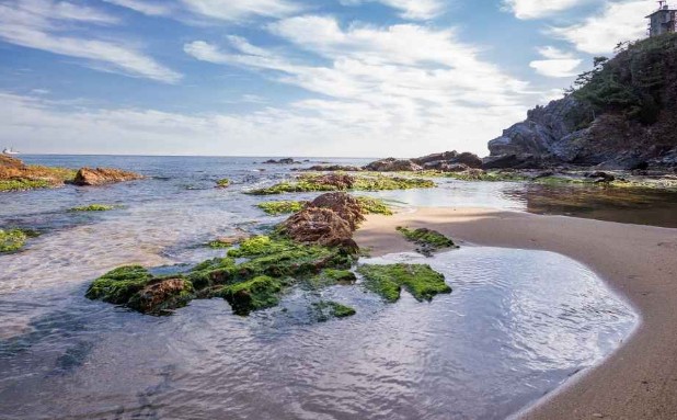 [강원도 여행지 추천] 동해 가볼만한 곳 베스트 10 고불개해변