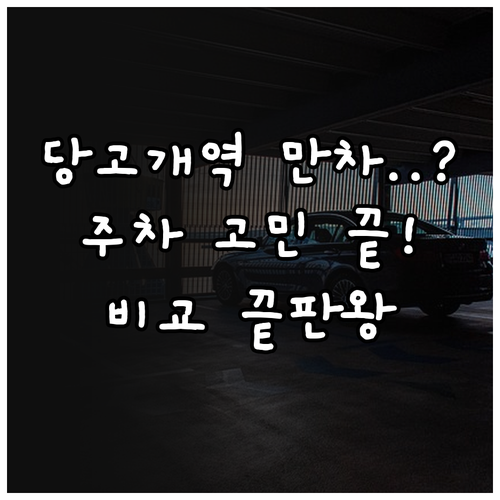 당고개역 공영주차장 만차 시 대안 주..