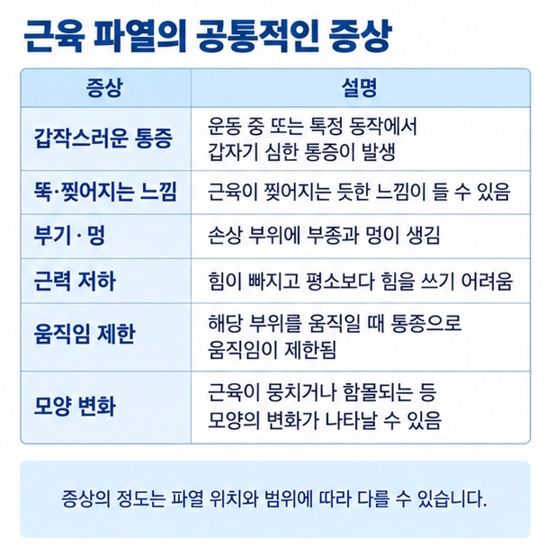 종아리 근육 파열의 갑작스러운 통증 부기 멍 발끝서기 어려움과 어깨 파열의 팔 들기 약화를 비교한 이미지