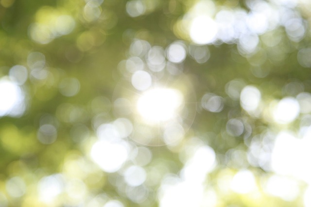 차상위계층 기준