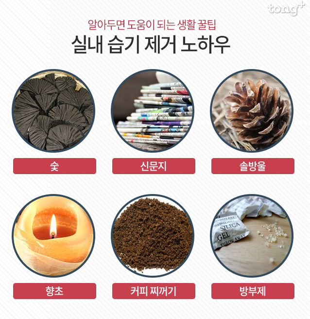 집안 습기