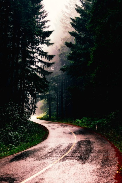 미니 제습기 추천