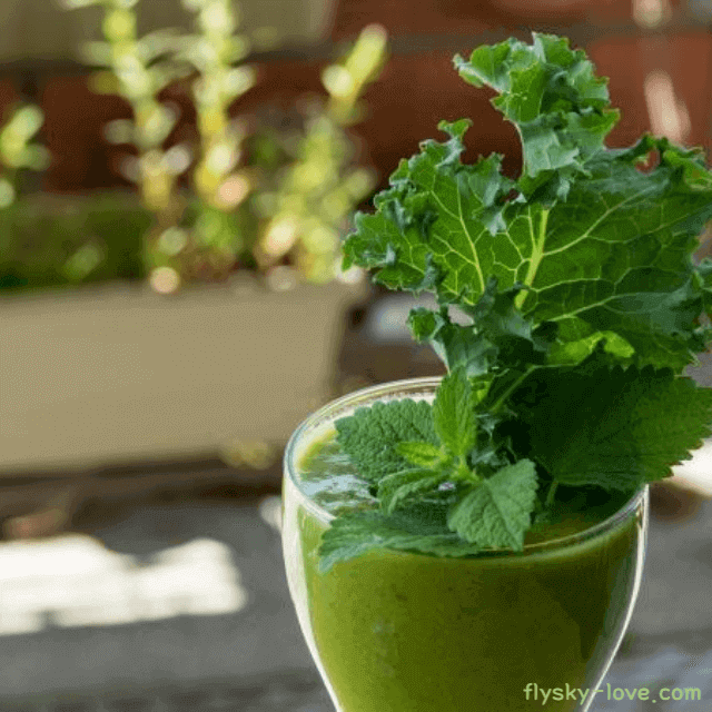 케일로 갈아 만든 케일 즙