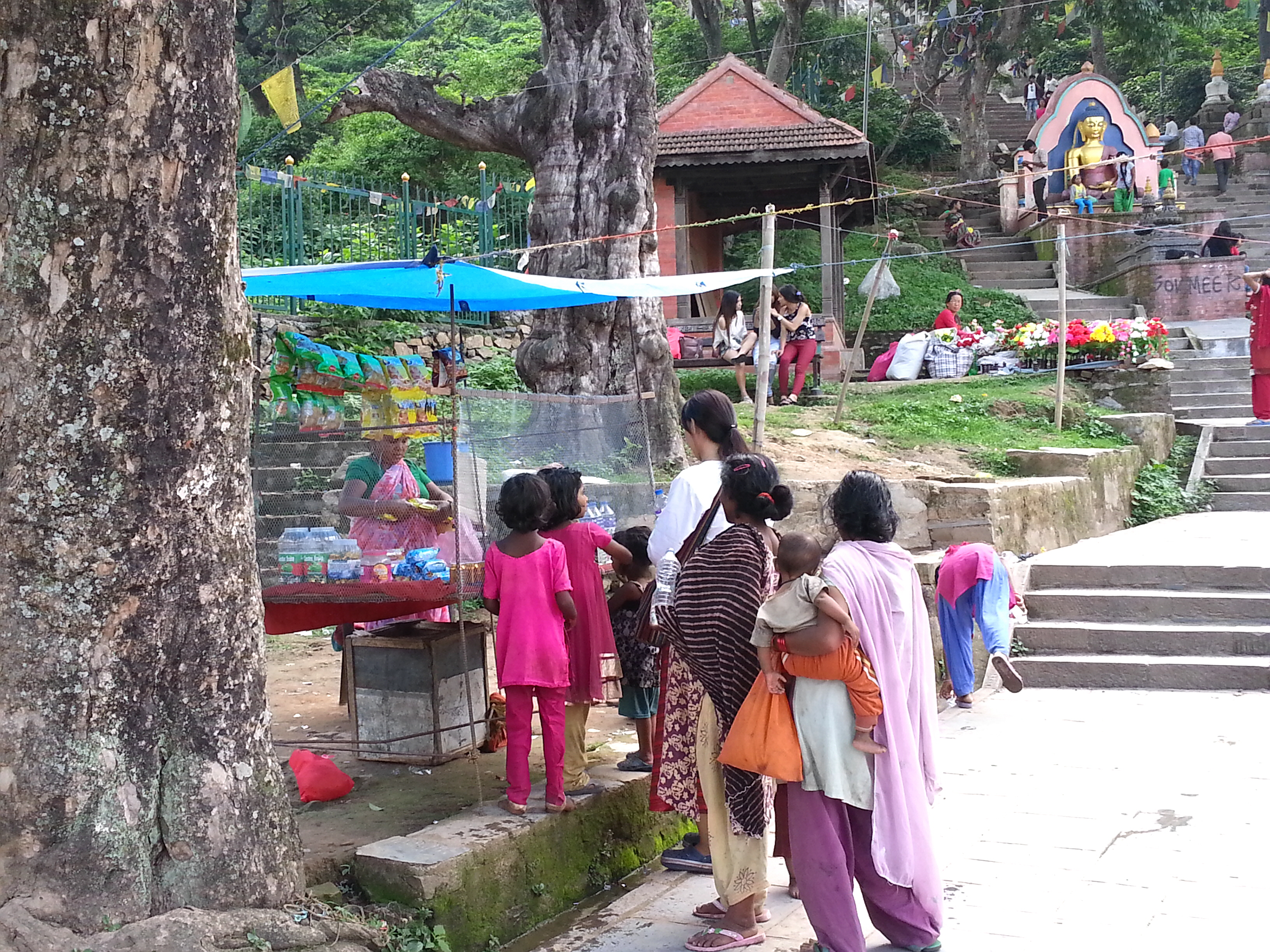인기 좋은 한국인