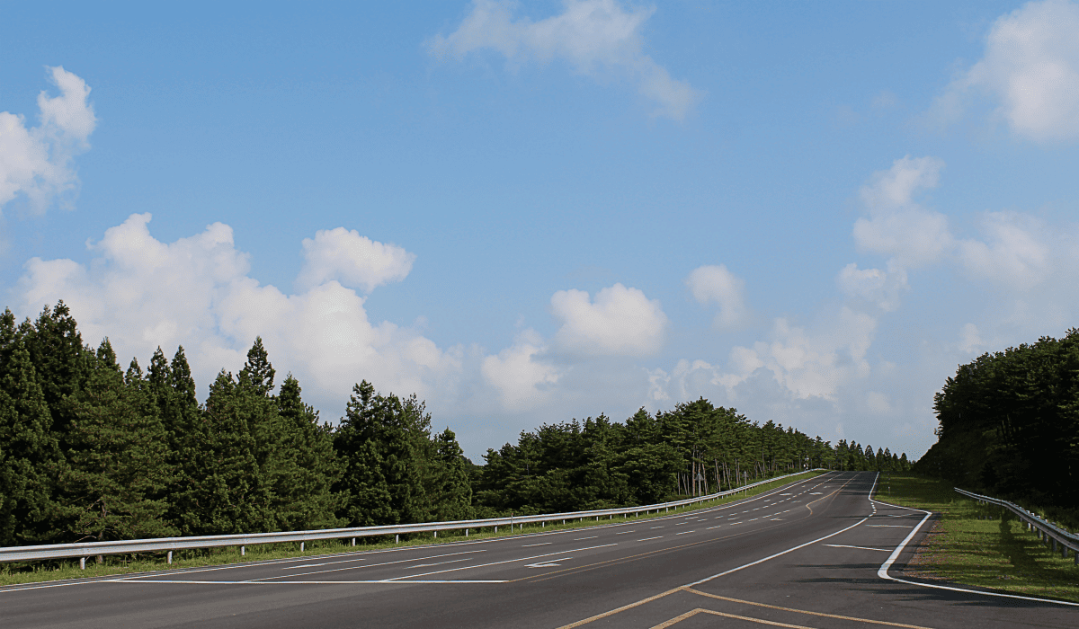 제주_렌트카_비교사이트_1