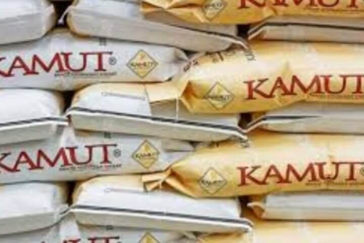 카무트 효능 노화예방