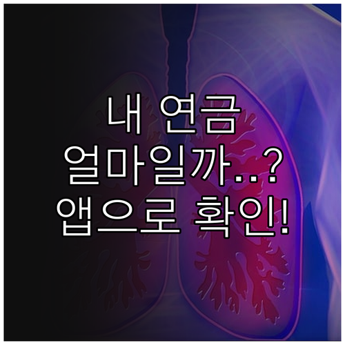 국민연금 예상 수령액 확인 방법 고객..