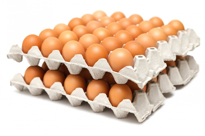 운동 후 먹으면 좋은 음식