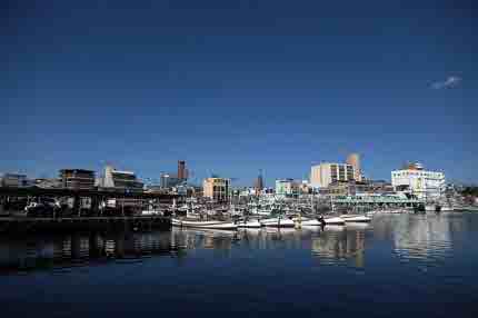 양양 가볼만한곳