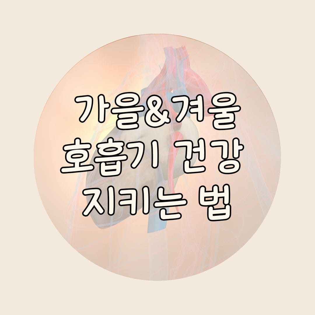 가을 겨울 건강 예방