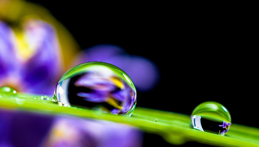 하루 동안 한 가지 향으로 살아보기: 향기가 만든 작은 실험