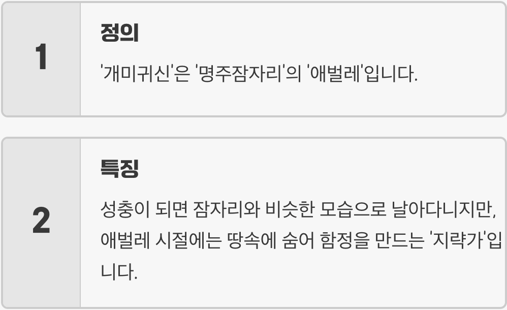 '개미지옥'의 주인, 개미귀신은 어떤 곤충?