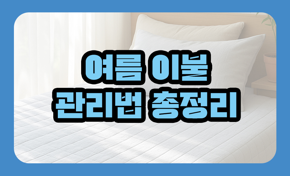 여름 이불 관리법 총정리