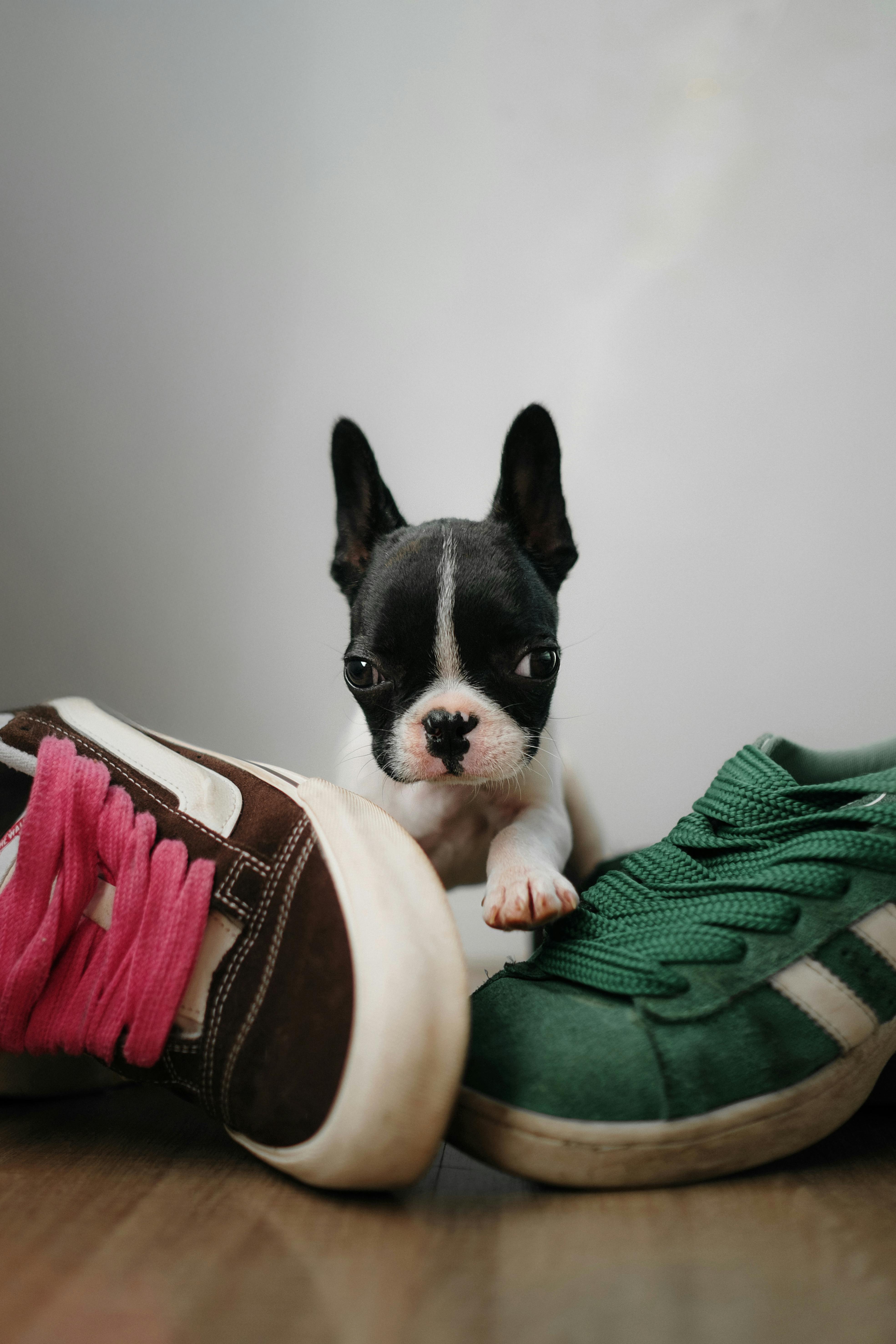 임성훈 프로필 나이 아들