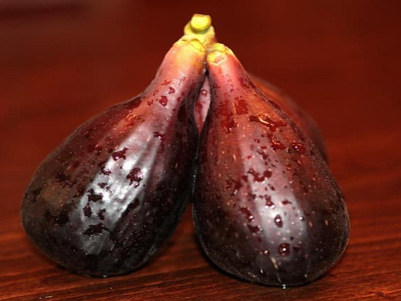 몸에 좋은 무화과