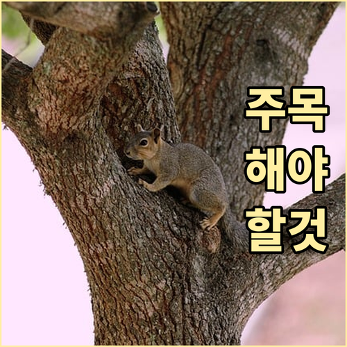 2025 충남 학자금 이자 지원! 누..